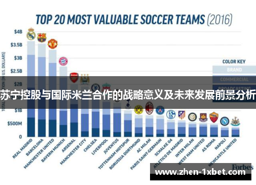 苏宁控股与国际米兰合作的战略意义及未来发展前景分析