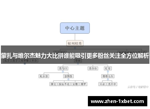 蒙扎与维尔杰魅力大比拼谁能吸引更多粉丝关注全方位解析