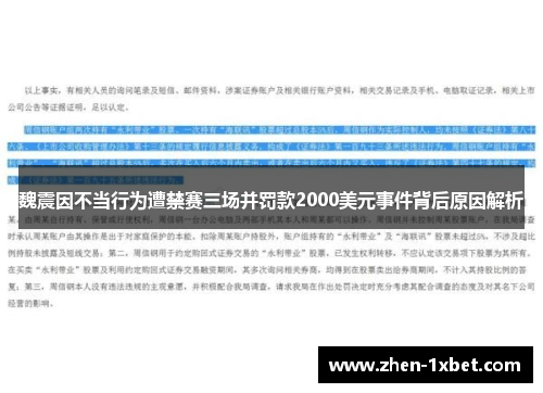 魏震因不当行为遭禁赛三场并罚款2000美元事件背后原因解析