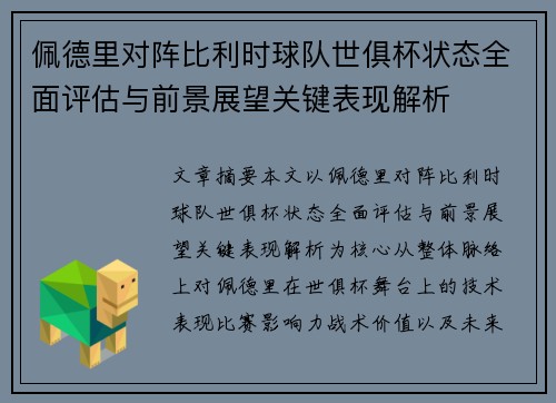 佩德里对阵比利时球队世俱杯状态全面评估与前景展望关键表现解析